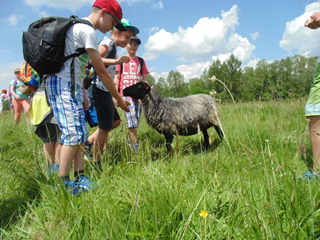 Szkoła Podstawowa Nr 15 w Krośnie