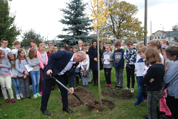 Święto Drzewa.