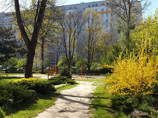 Przedszkole nr 44 Janusza Korczaka