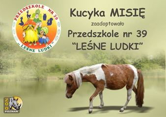 Przedszkole nr 39 Leśne Ludki