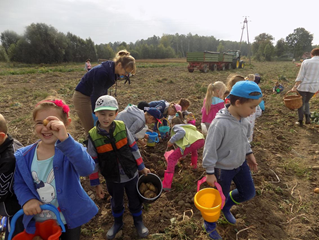 jesteśmy na wykopkachna wykopkach