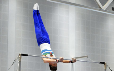 Gimnastyka sportowa mężczyzn