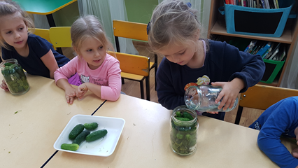 Zajęcia edukacyjne - kiszenie ogórków.