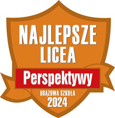 Perspektywy brązowa 24