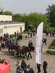 III GRUDZIĄDZKI PIKNIK NAUKOWY