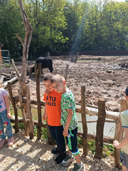 Wycieczka do mini zoo