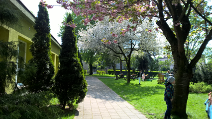 Kwitnace jabłonki