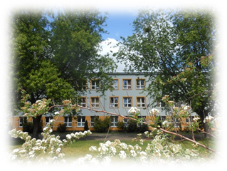 Zdjęcie od strony boiska.