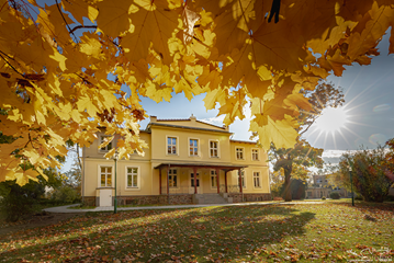 Park szkolny, pałac