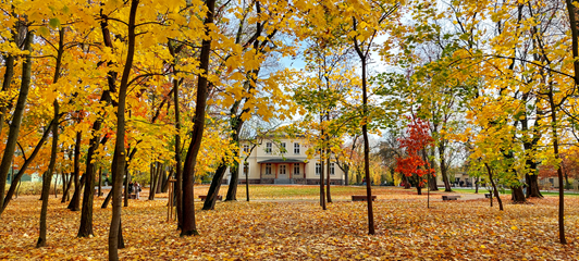 Park szkolny 