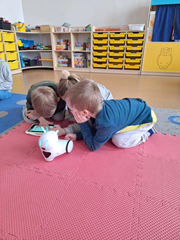 Zajęcia z robotami.
