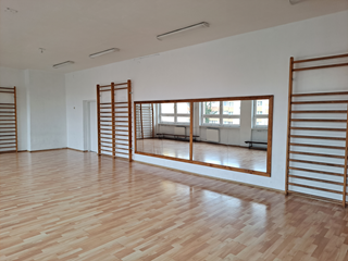 sala lustrzana - mała sala gimnastyczna