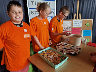 Szkolny Klub Wolontariatu