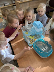 Dzień zwierzątka w przedszkolu