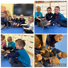 Zajęcia przyrodnicze - kontakt z żywym Kotkiem  