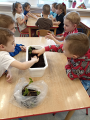 Gminne Przedszkole w Siedlisku