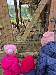 Organizacja wycieczek na świeżym powietrzu 