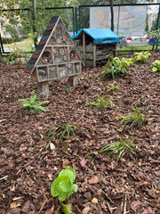 przyjazne otoczenie szkoły