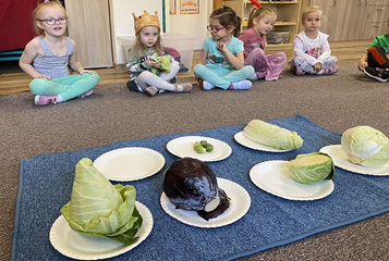 poznajemy rodzaje kapusty