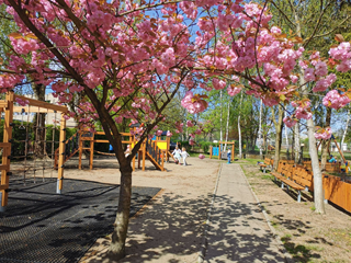 Ogród przedszkolny