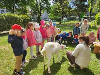 Warsztaty przyrodnicze.