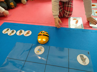 Kodowanie pszczółką