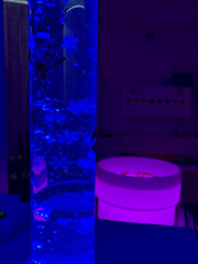 Sala Doświadczania Świata Snoezelen 