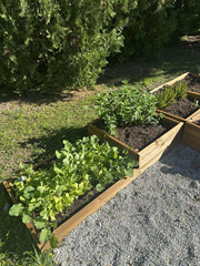 Nasz przedszkolny ogródek